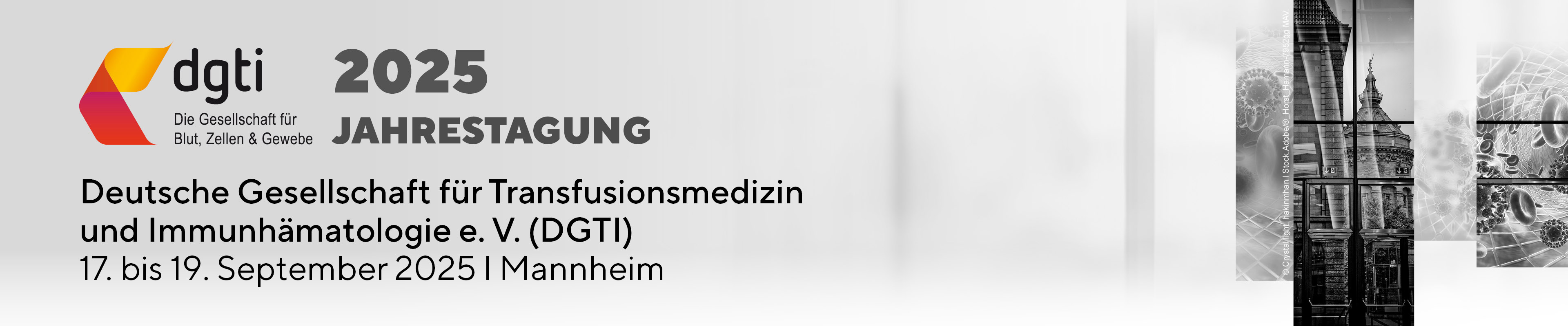 DGTI 2025 Headerbanner Startseite